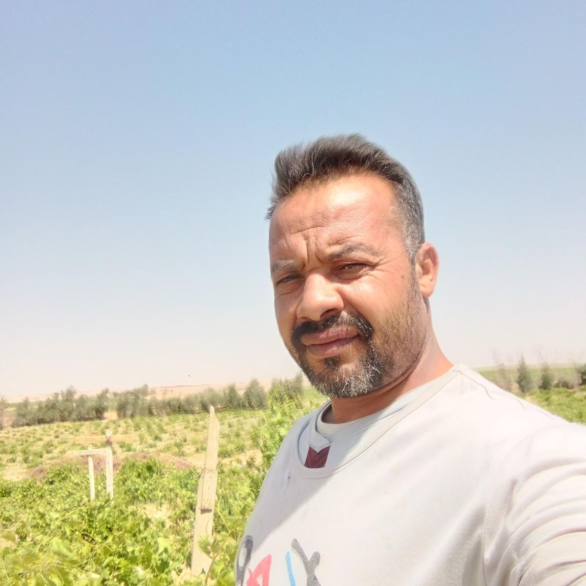 محمود